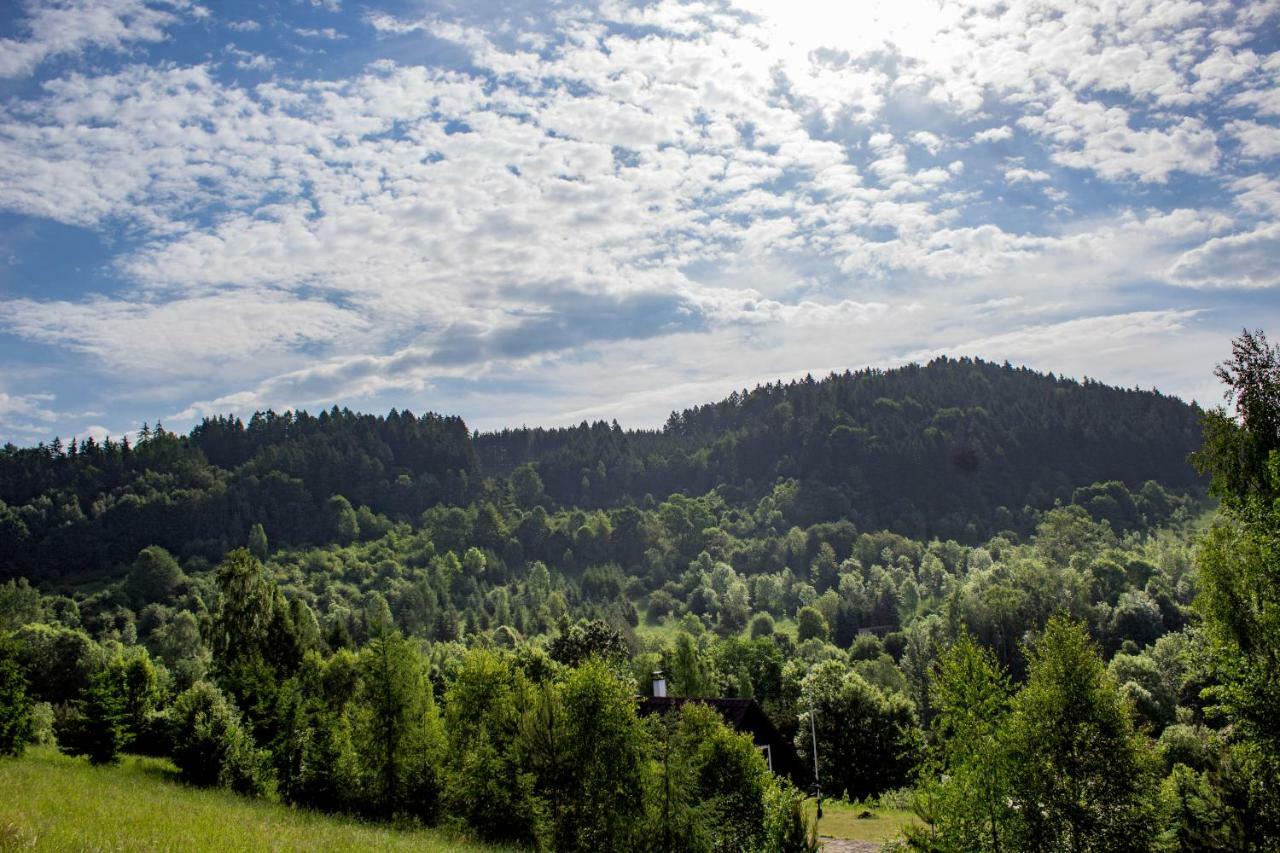 Holiday Villa Stupna Vidochov Exterior photo
